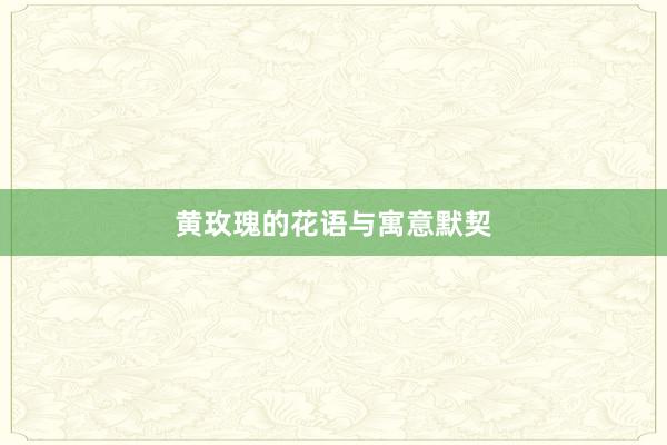 黄玫瑰的花语与寓意默契